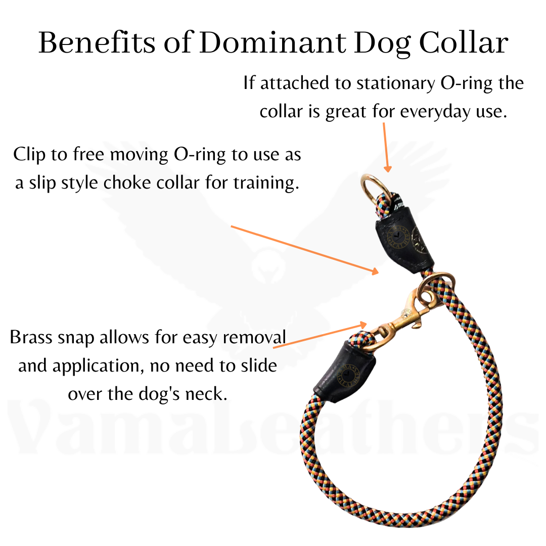 Vama DOMINANT DOG COLLAR