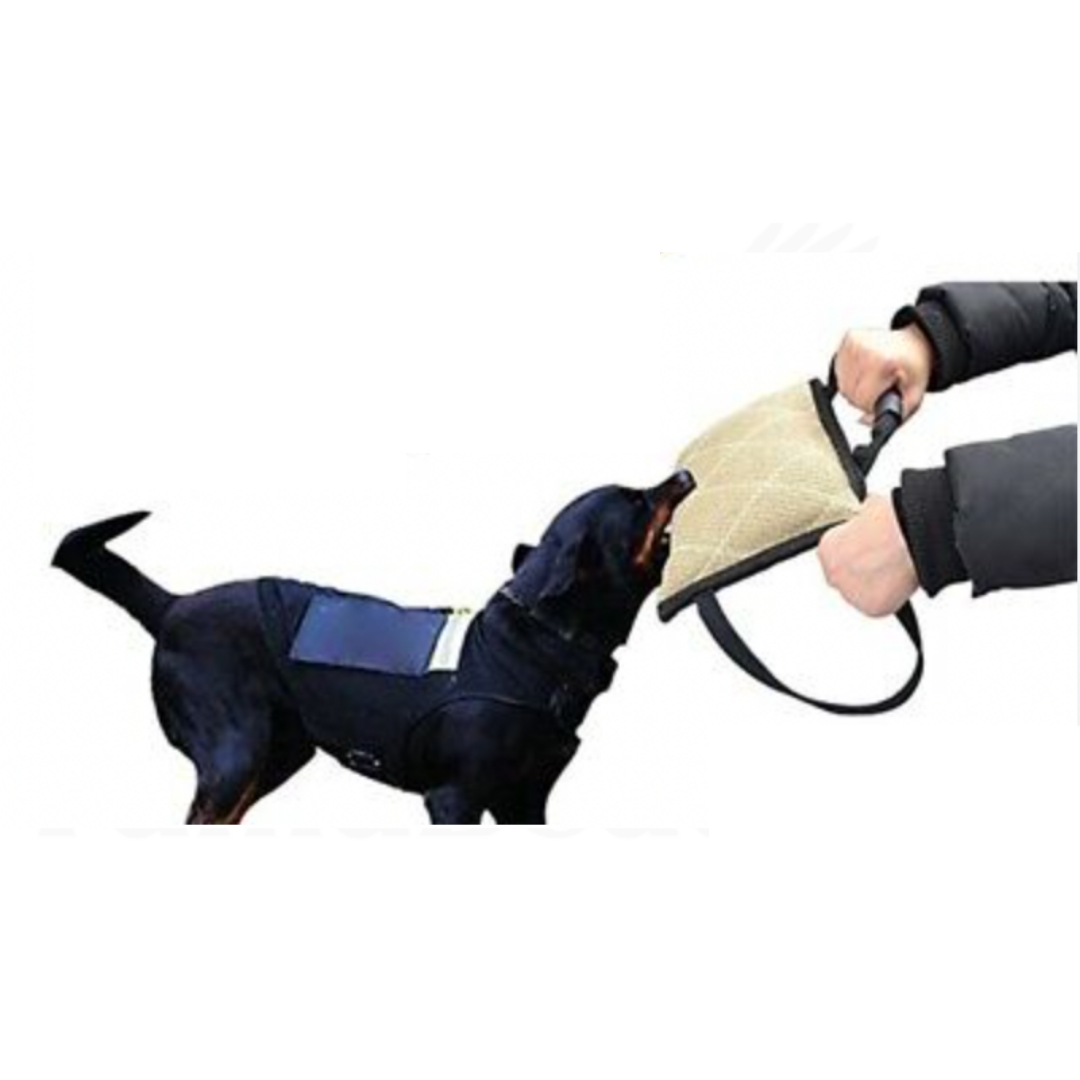 Vama PUPPY BITE WORK PILLOW