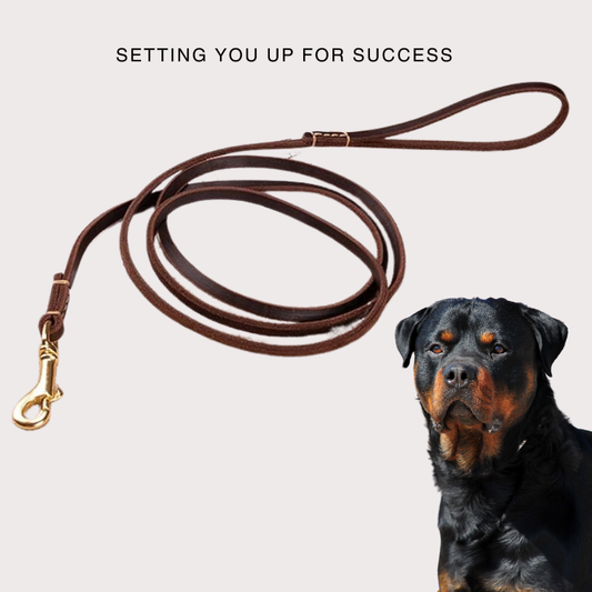 Vama Luxury Leather Show Leash