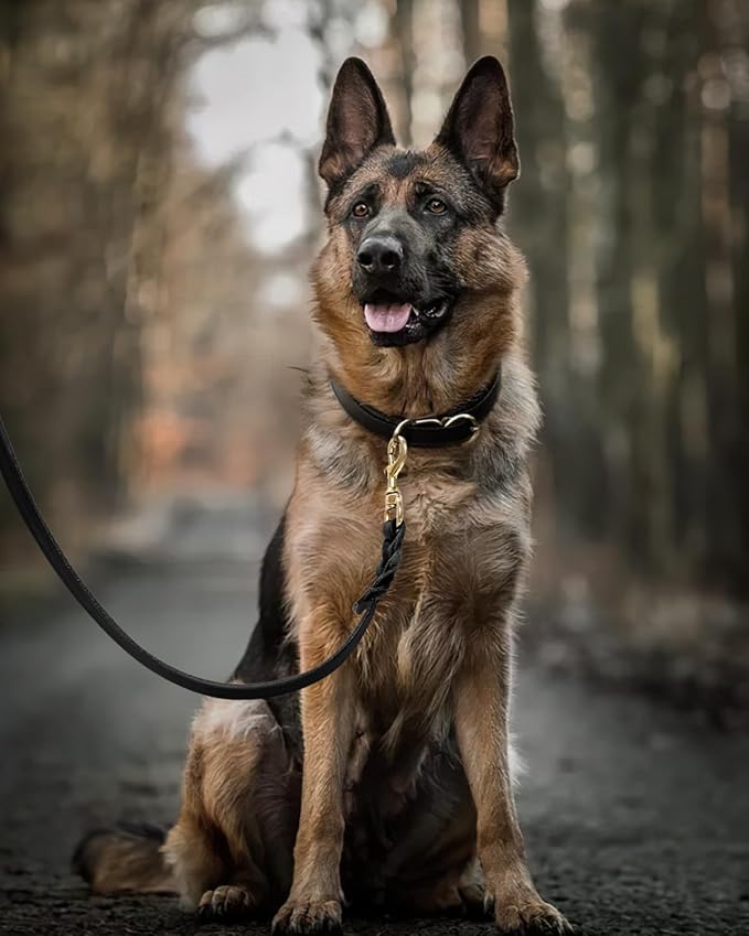 Vama KNOTTED LEATHER LEASH