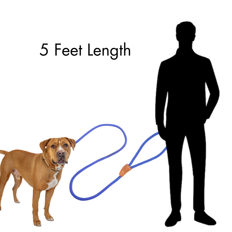 Vama BRITISH STYLE SLIP LEASH