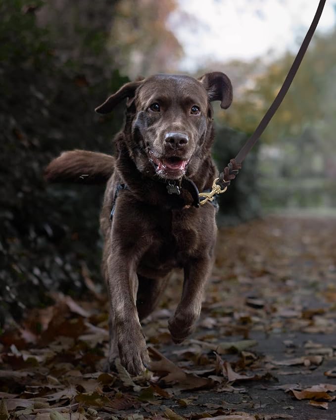 Vama KNOTTED LEATHER LEASH