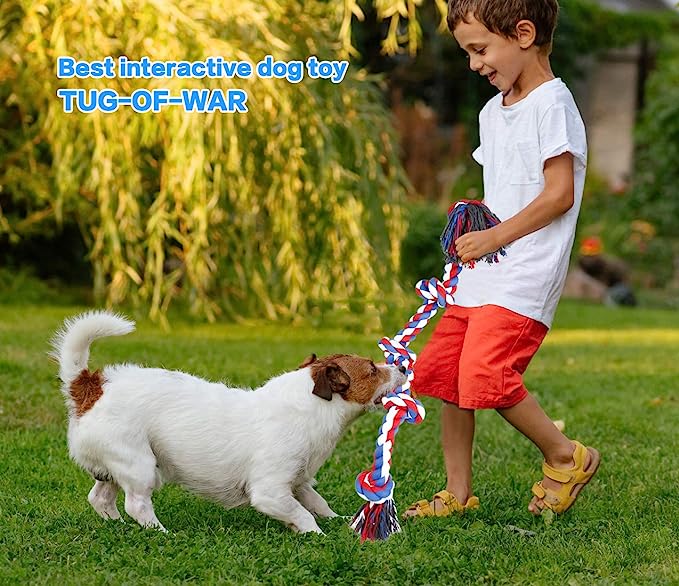 Treat-dispenser/enrichment toys, which help fight off boredom and provide mental stimulation.