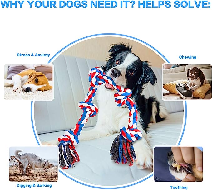 Treat-dispenser/enrichment toys, which help fight off boredom and provide mental stimulation.