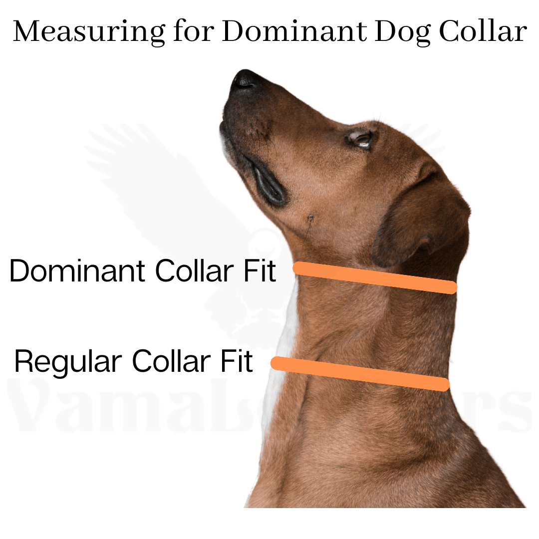 Vama DOMINANT DOG COLLAR