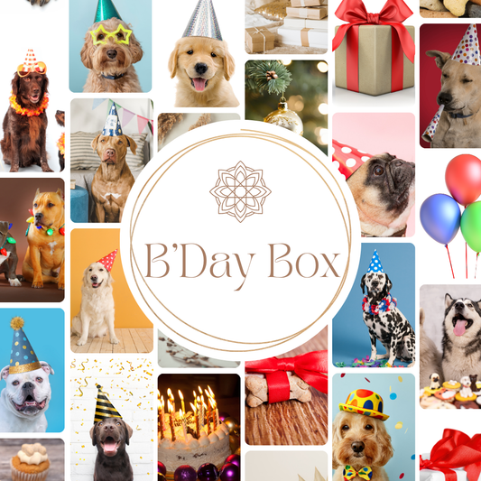 Wag & Woof Birthday Surprise