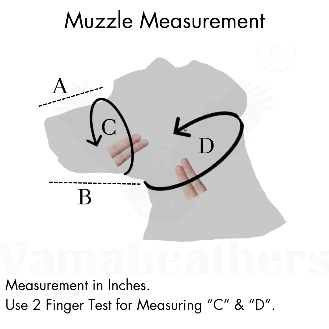 Vama AGITATION Muzzle