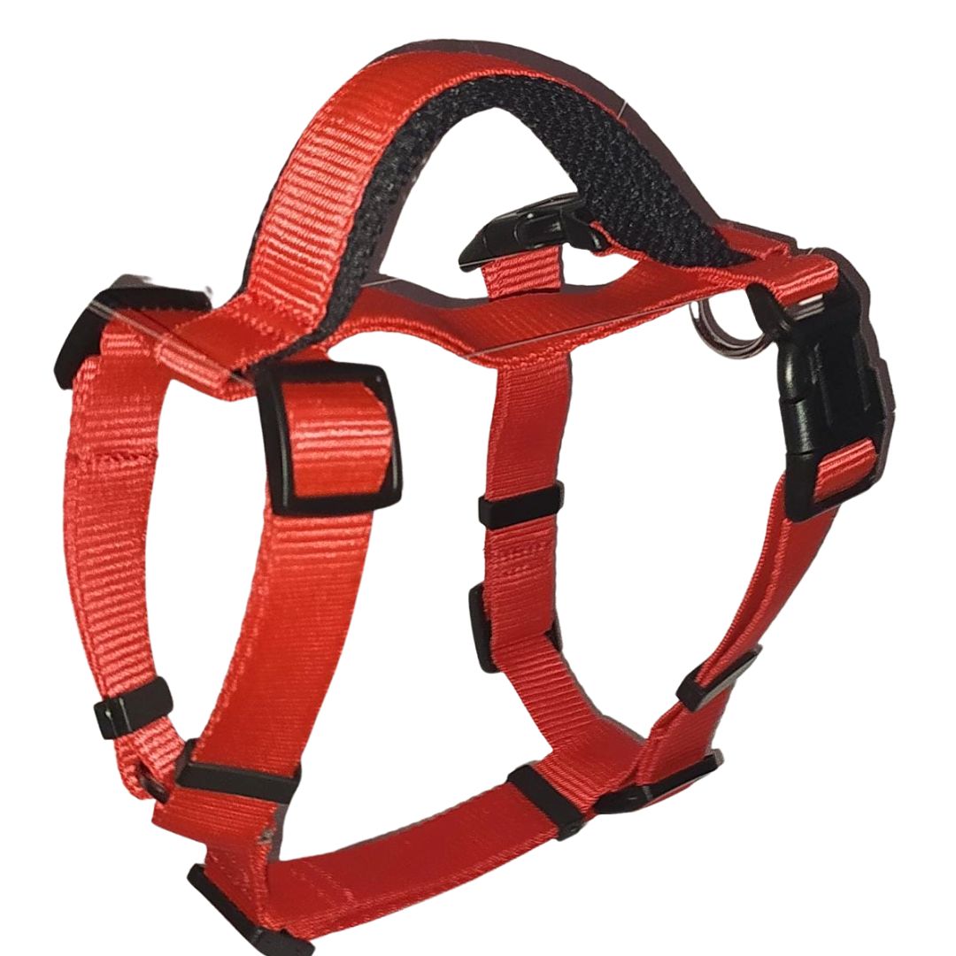 Vama PRO HARNESS