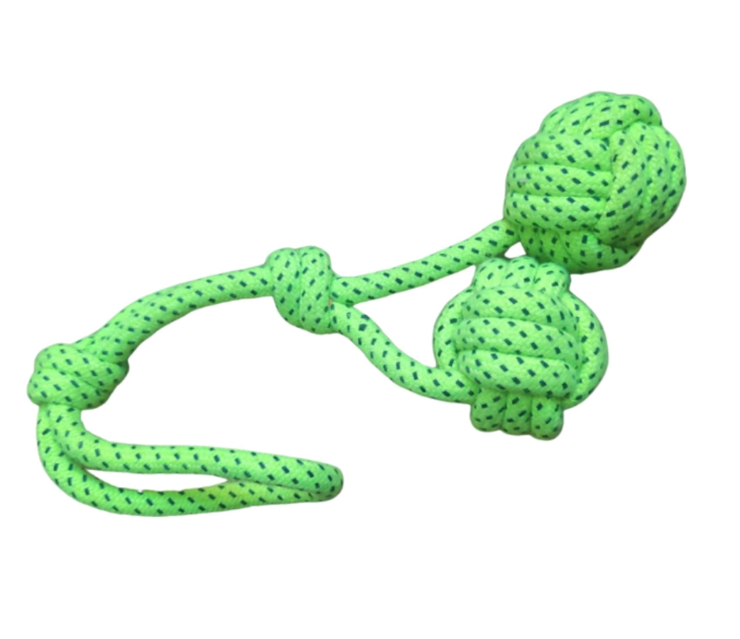 Treat-dispenser/enrichment toys, which help fight off boredom and provide mental stimulation.