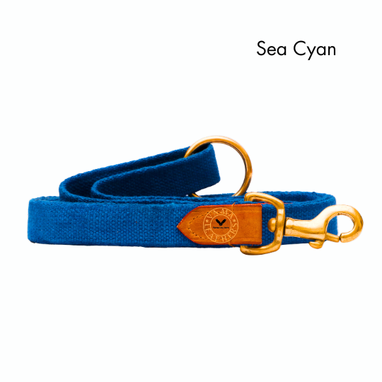 Vama AIR LEASH