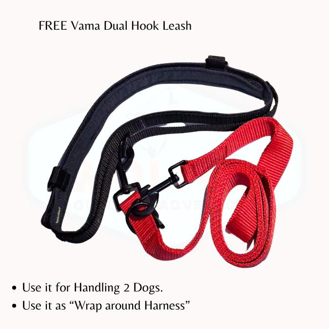 Vama RUNNER LEASH