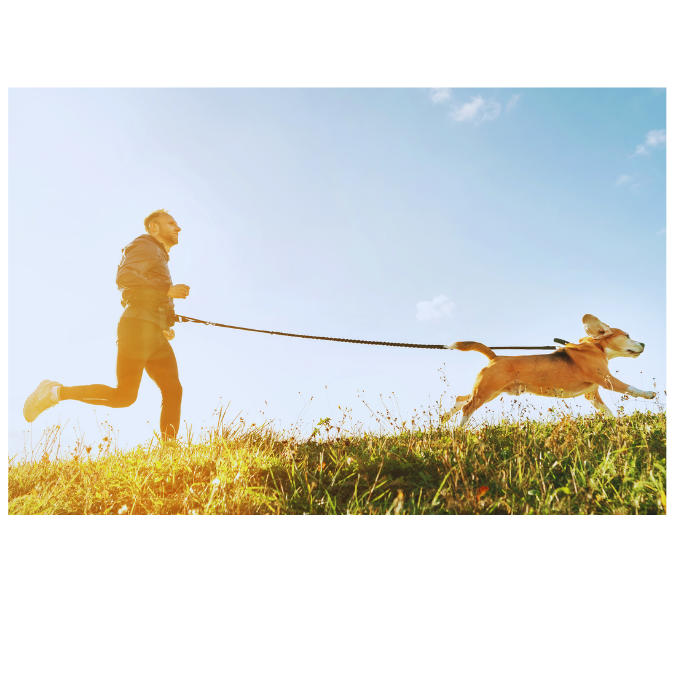 Vama RUNNER LEASH