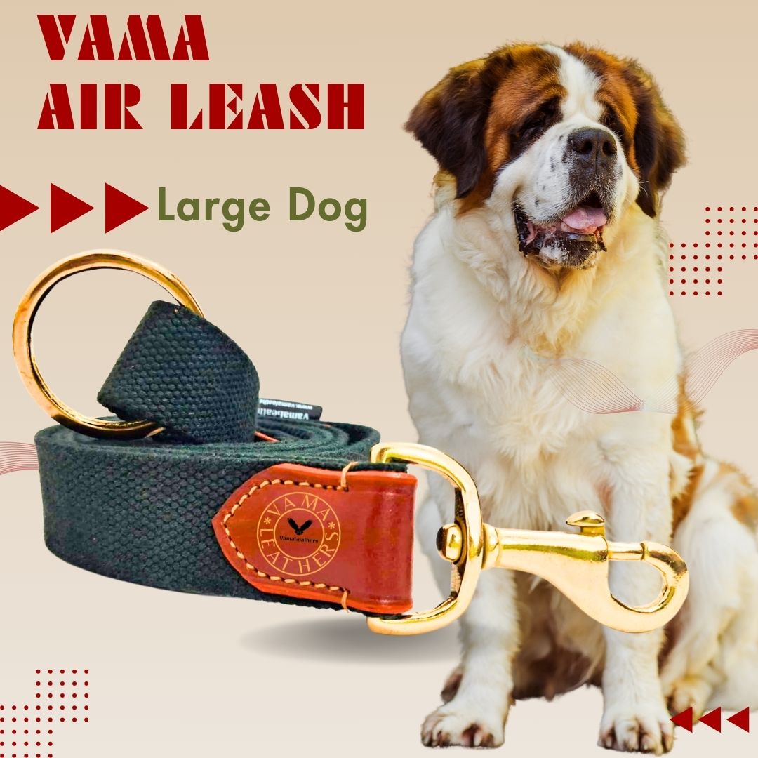 Vama AIR LEASH
