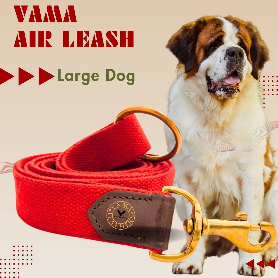Vama AIR LEASH