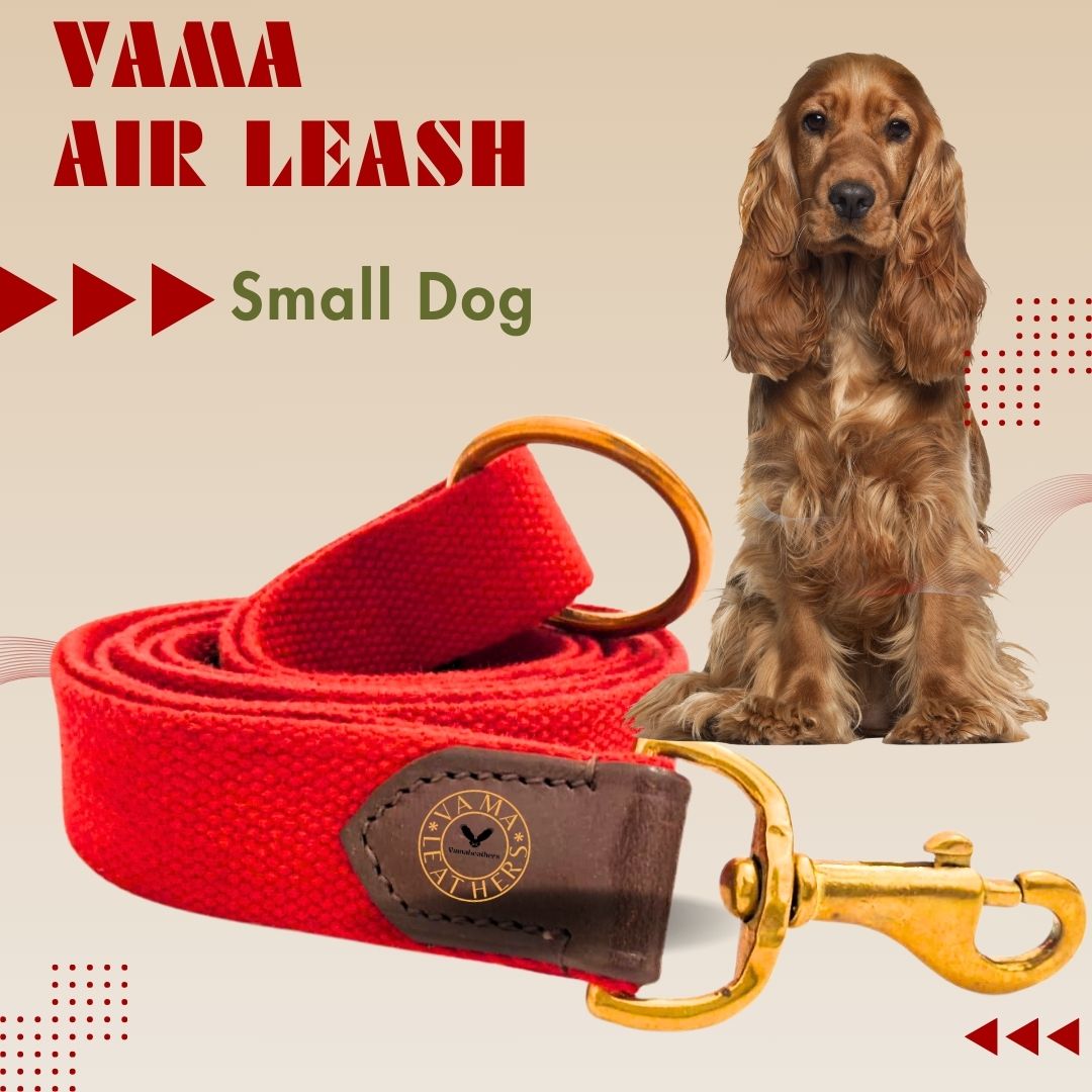 Vama AIR LEASH