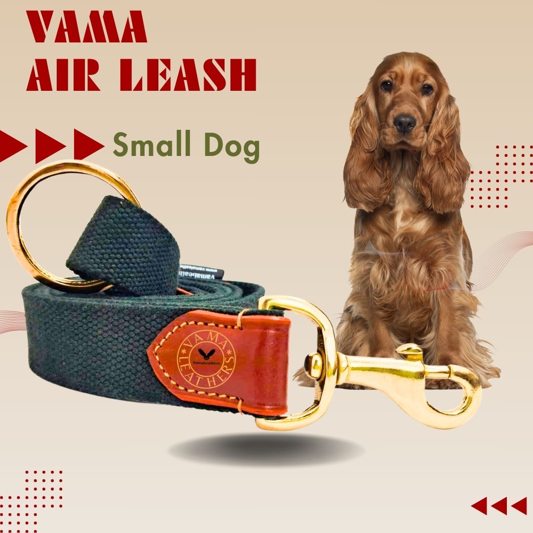 Vama AIR LEASH