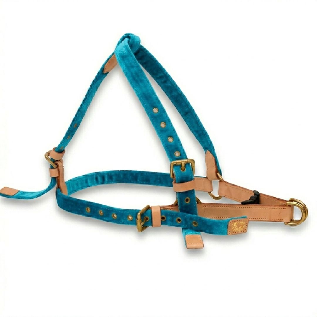Vama AIR HARNESS
