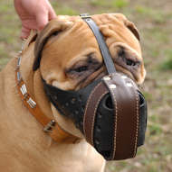 Vama AGGRESSION MUZZLE
