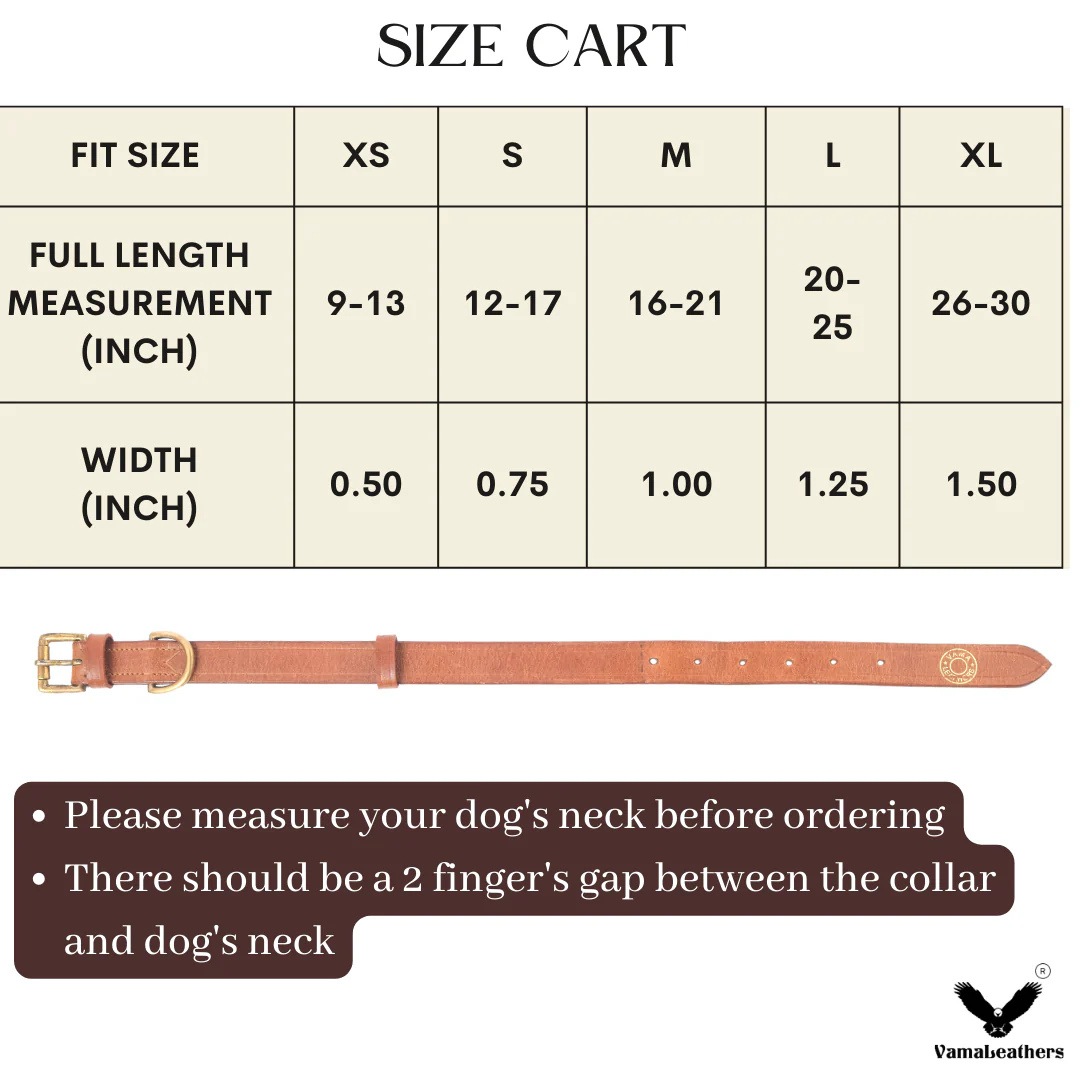 Vama MARTINGALE LEATHER COLLAR