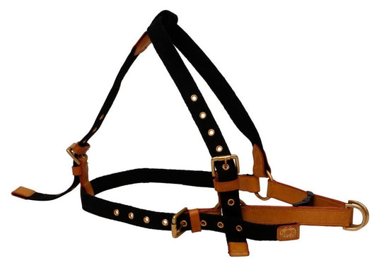 Vama AIR HARNESS
