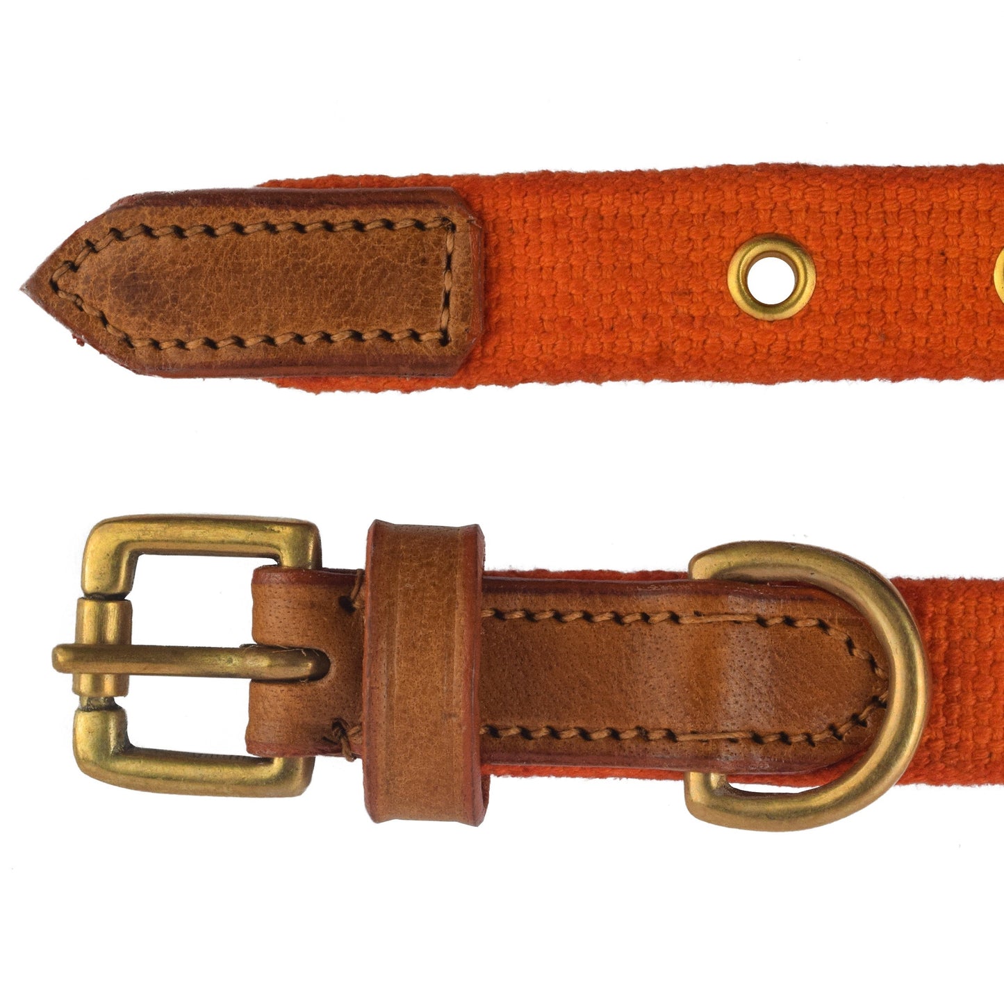 Vama MARTINGALE COLLAR