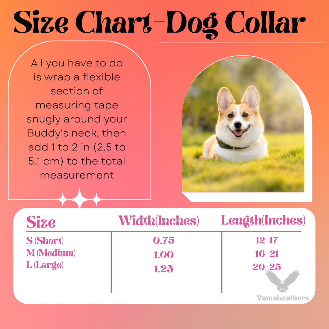 Vama MARTINGALE COLLAR