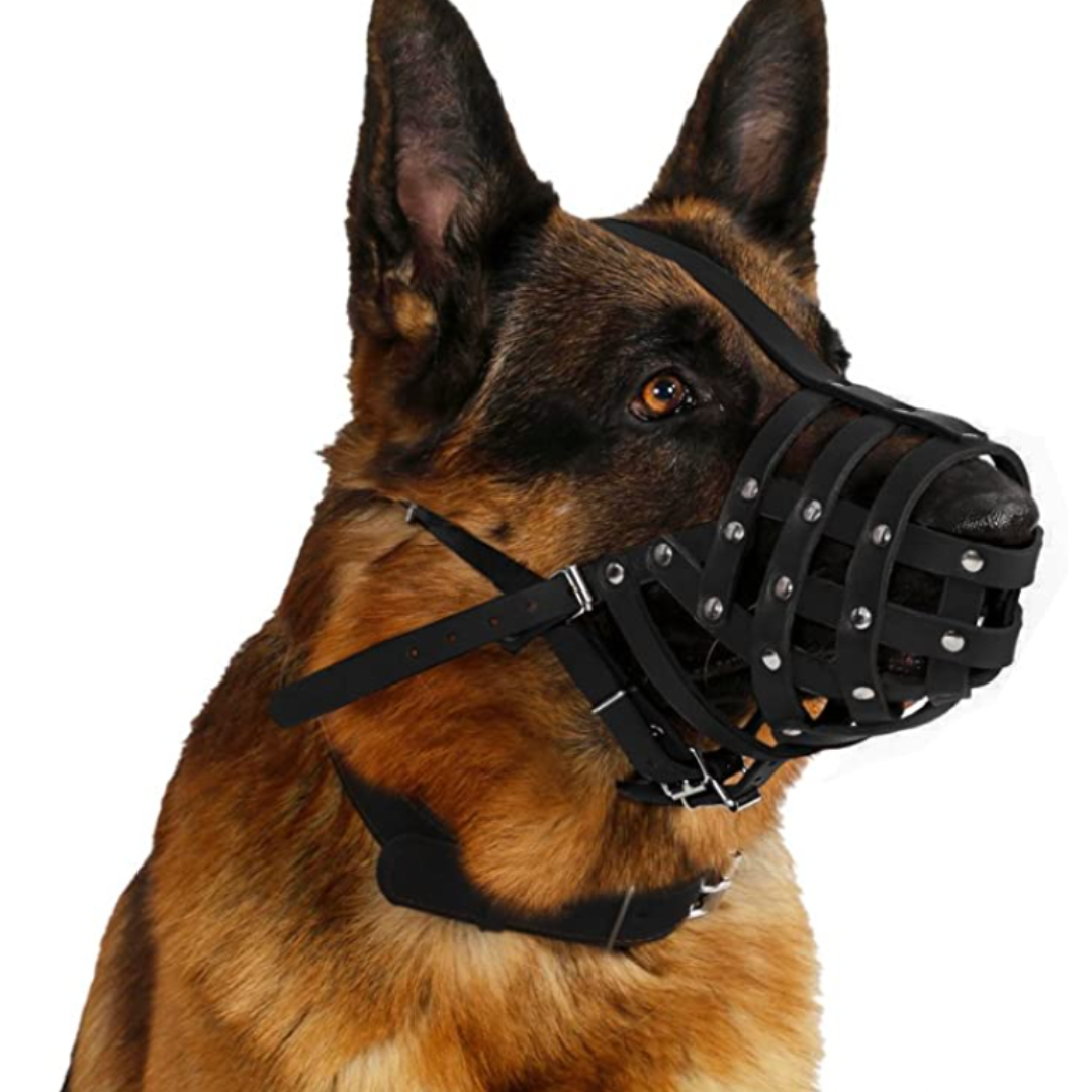 Russian dog muzzle best sale for sale