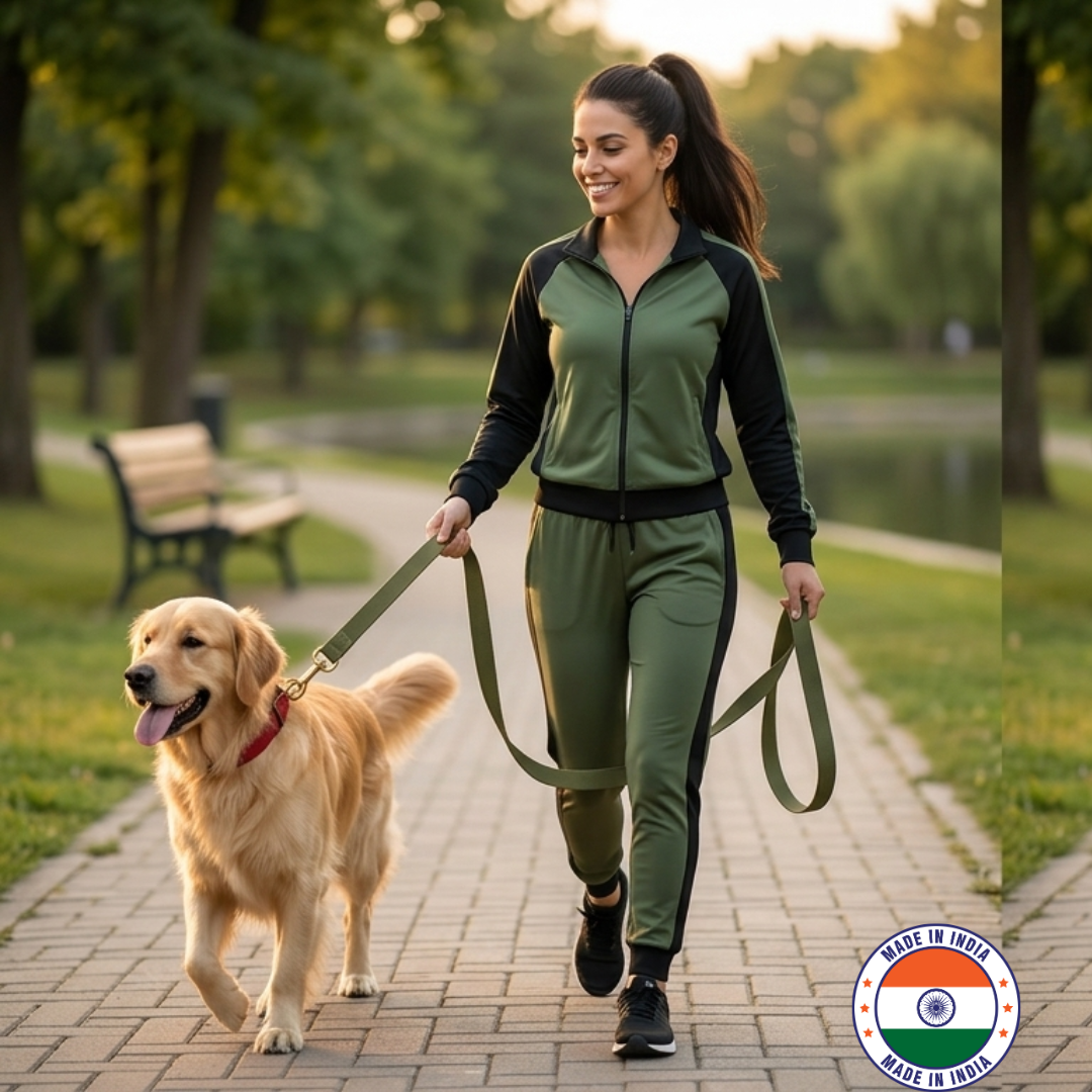 How to Train a Dog to Walk on a Loose Leash