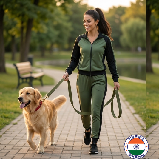 How to Train a Dog to Walk on a Loose Leash