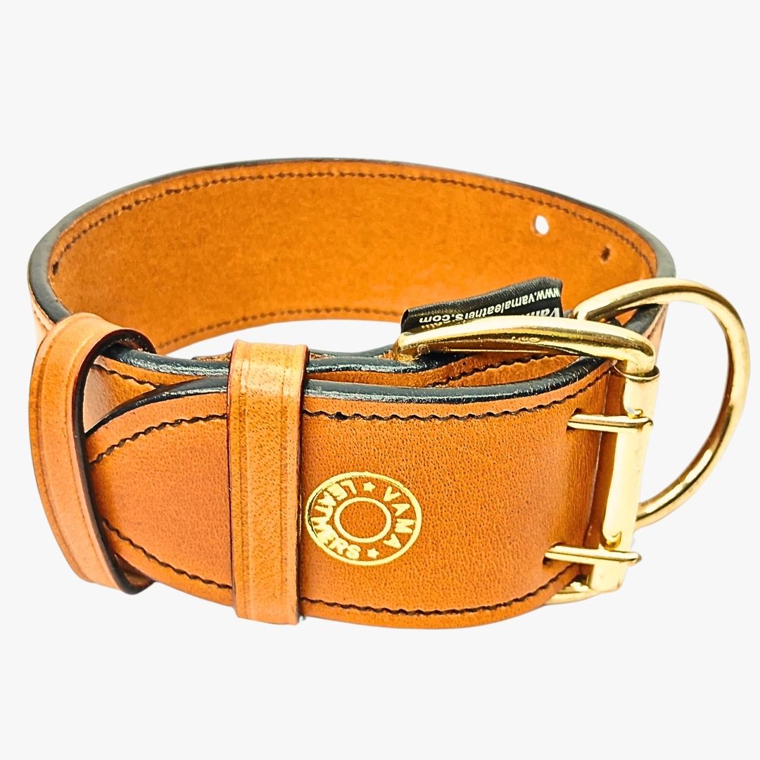 How to Choose a Leather K9 Collar by Size