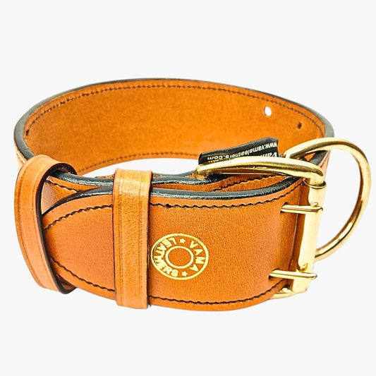 How to Choose a Leather K9 Collar by Size