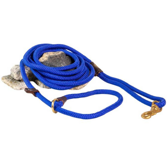 How to Choose a Slip Leash for Aggressive Dogs