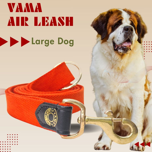 Best Leash Length for Large Dogs