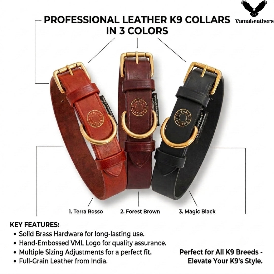 How to Choose a Leather Dog Collar by Size