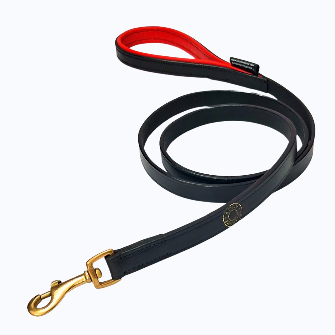 🐾 All Weather, Strong & Stylish Dog Leash 🐾