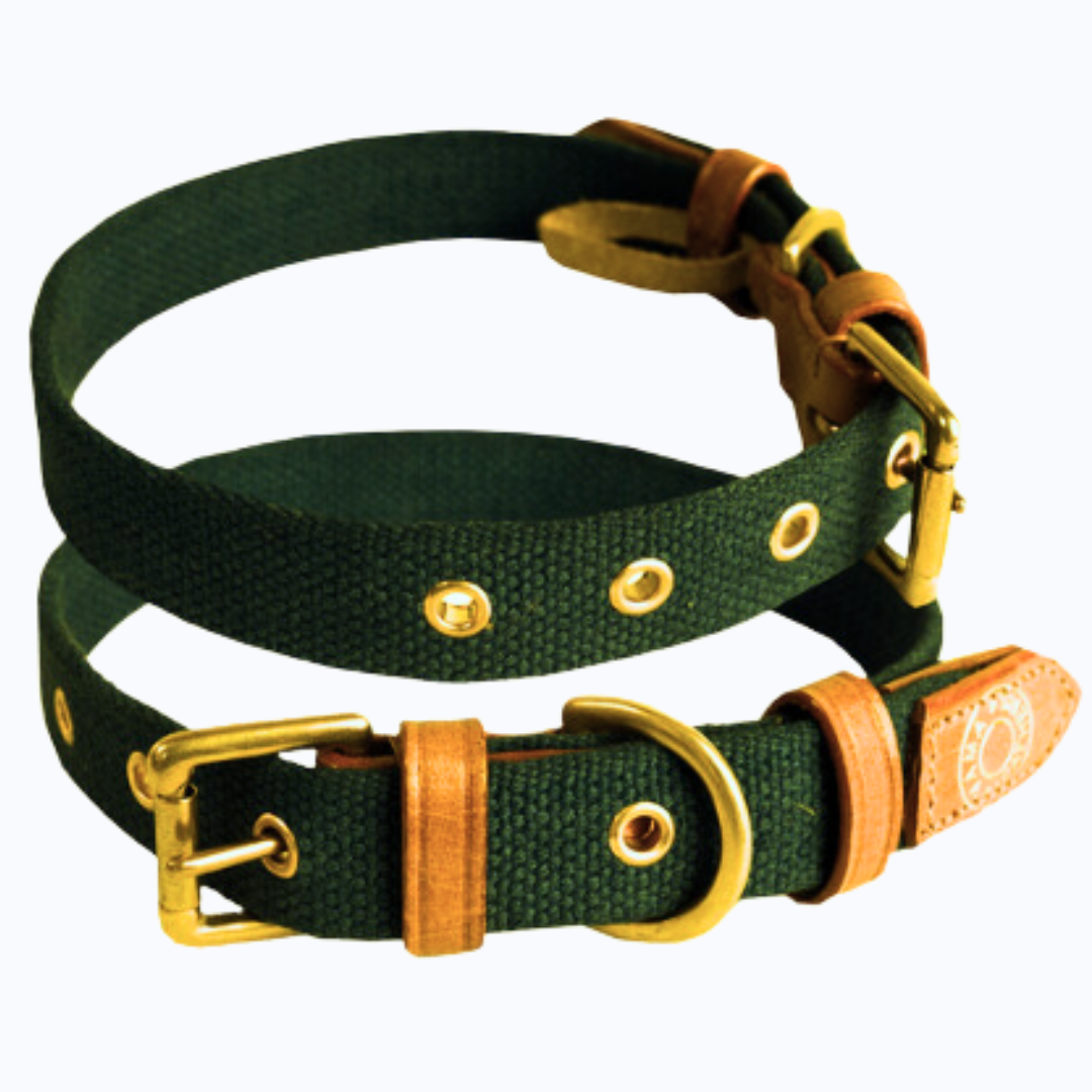 🐾 Stylish & Comfy Dog Collars 🐾