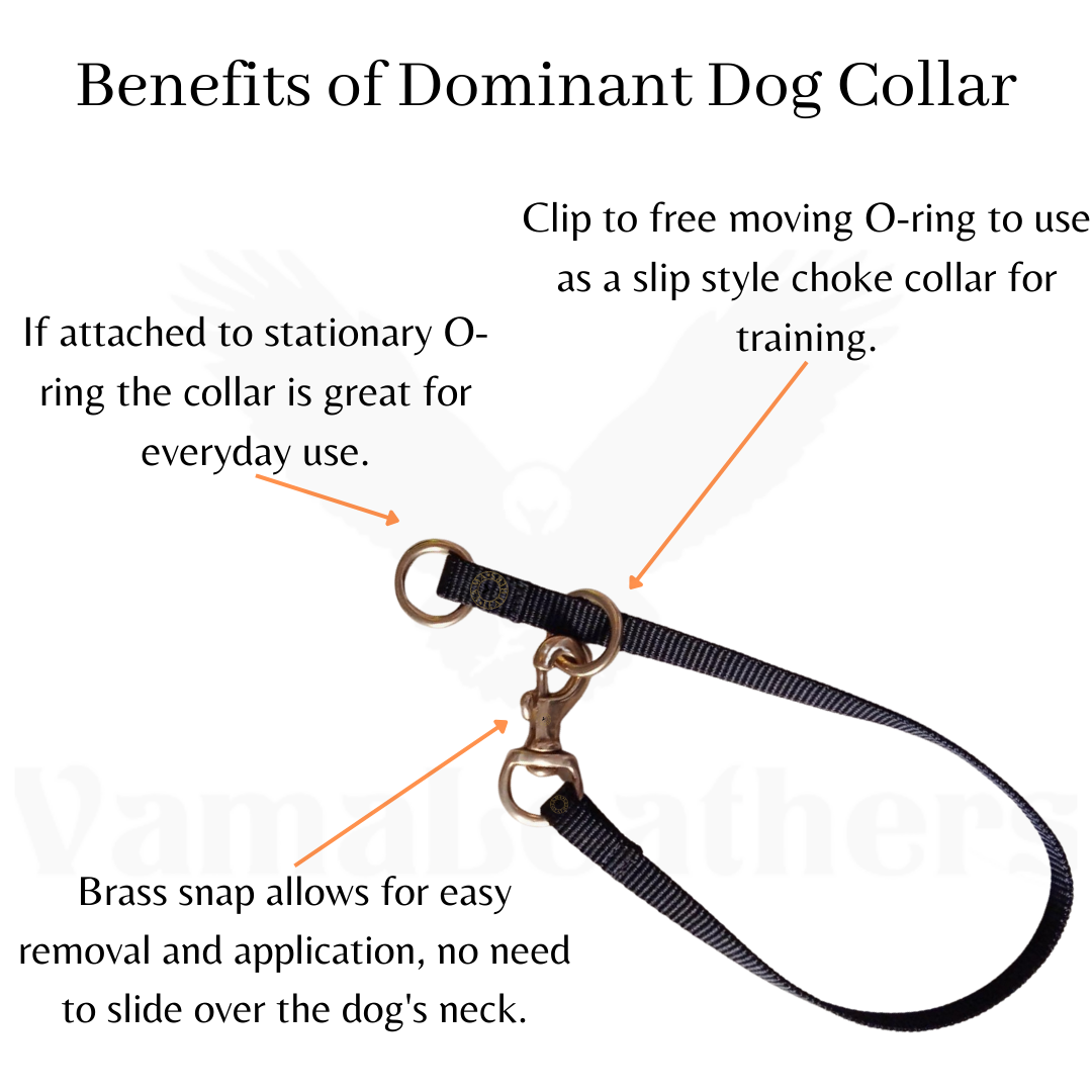 Dominant dog collar hot sale
