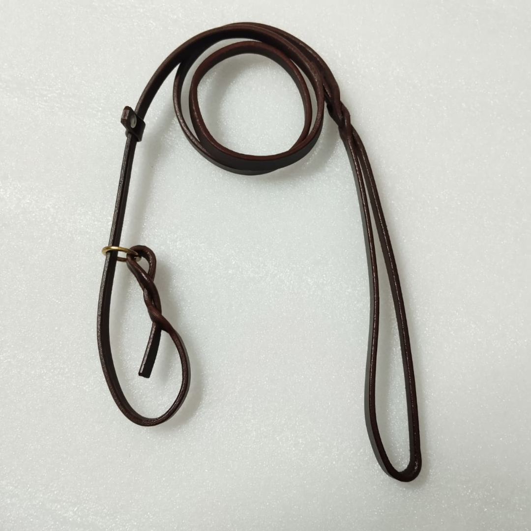 Luxury Leather Slip Leash