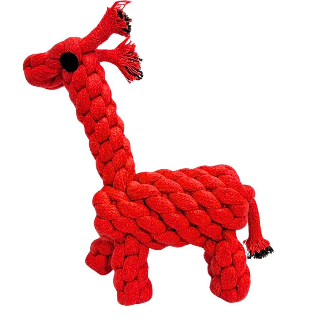 VAMA Rope Toy -DINO
