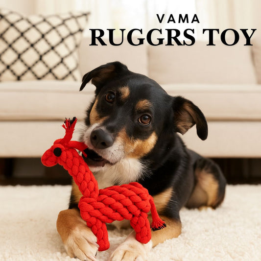 VAMA Rope Toy -DINO