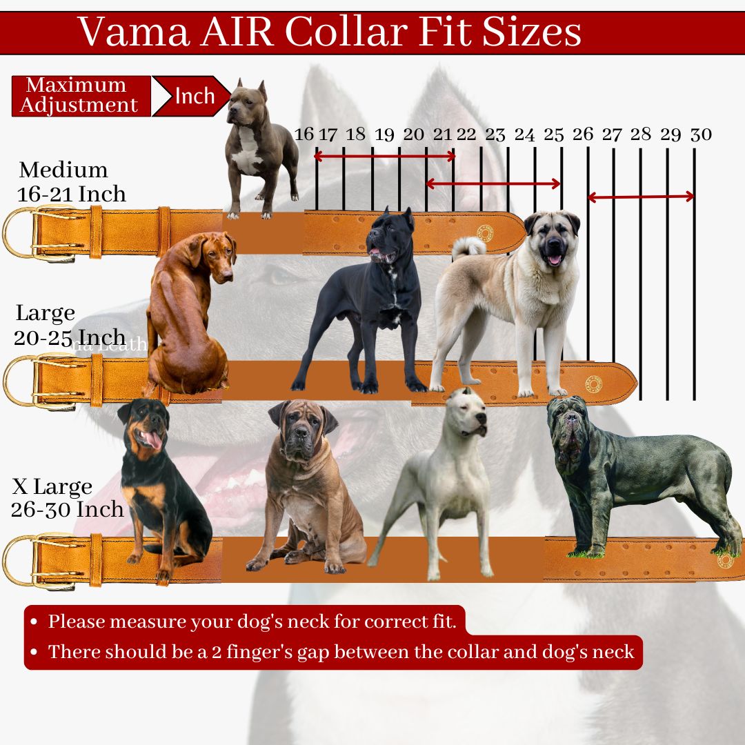 Vama Bully Dog Collar