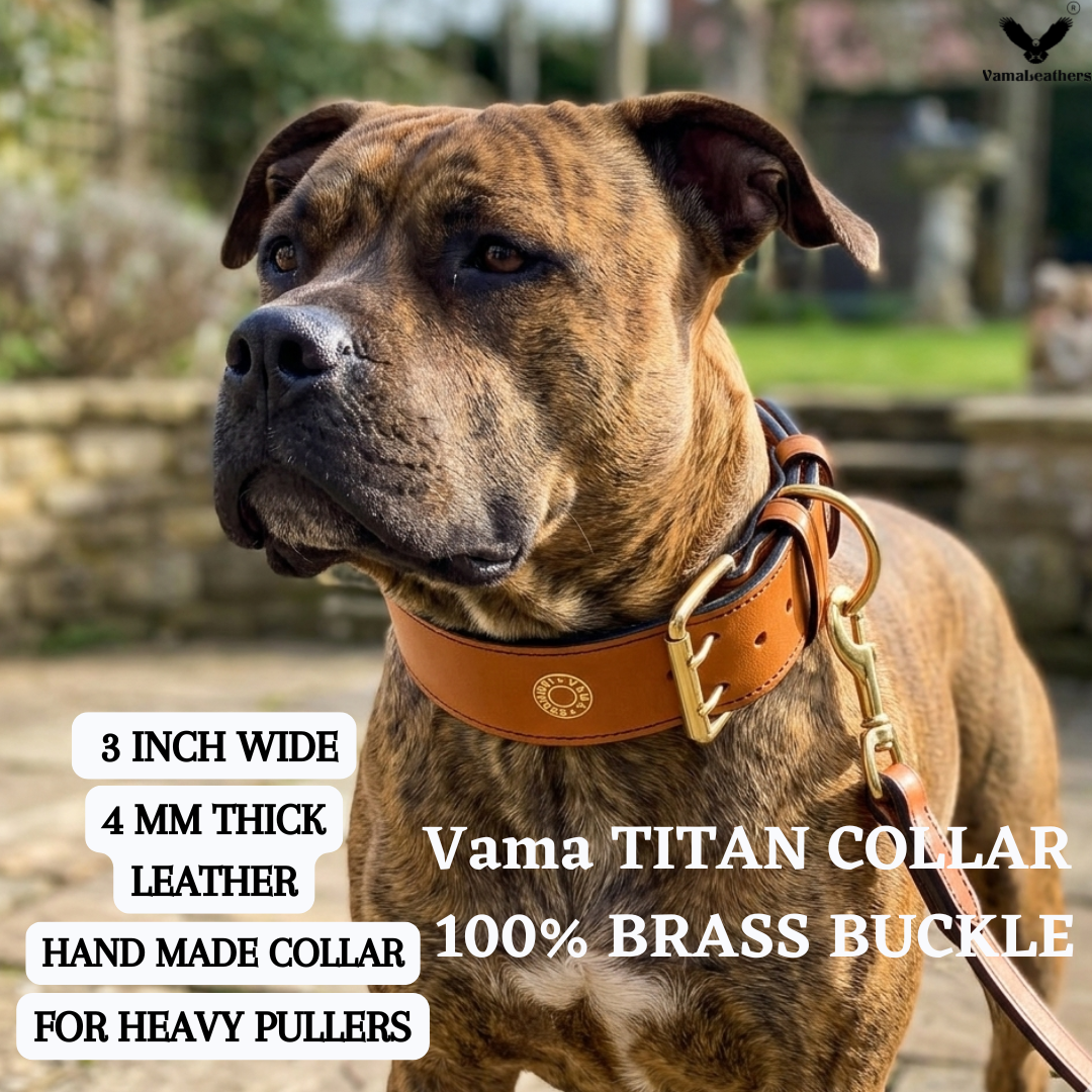Titan Collar