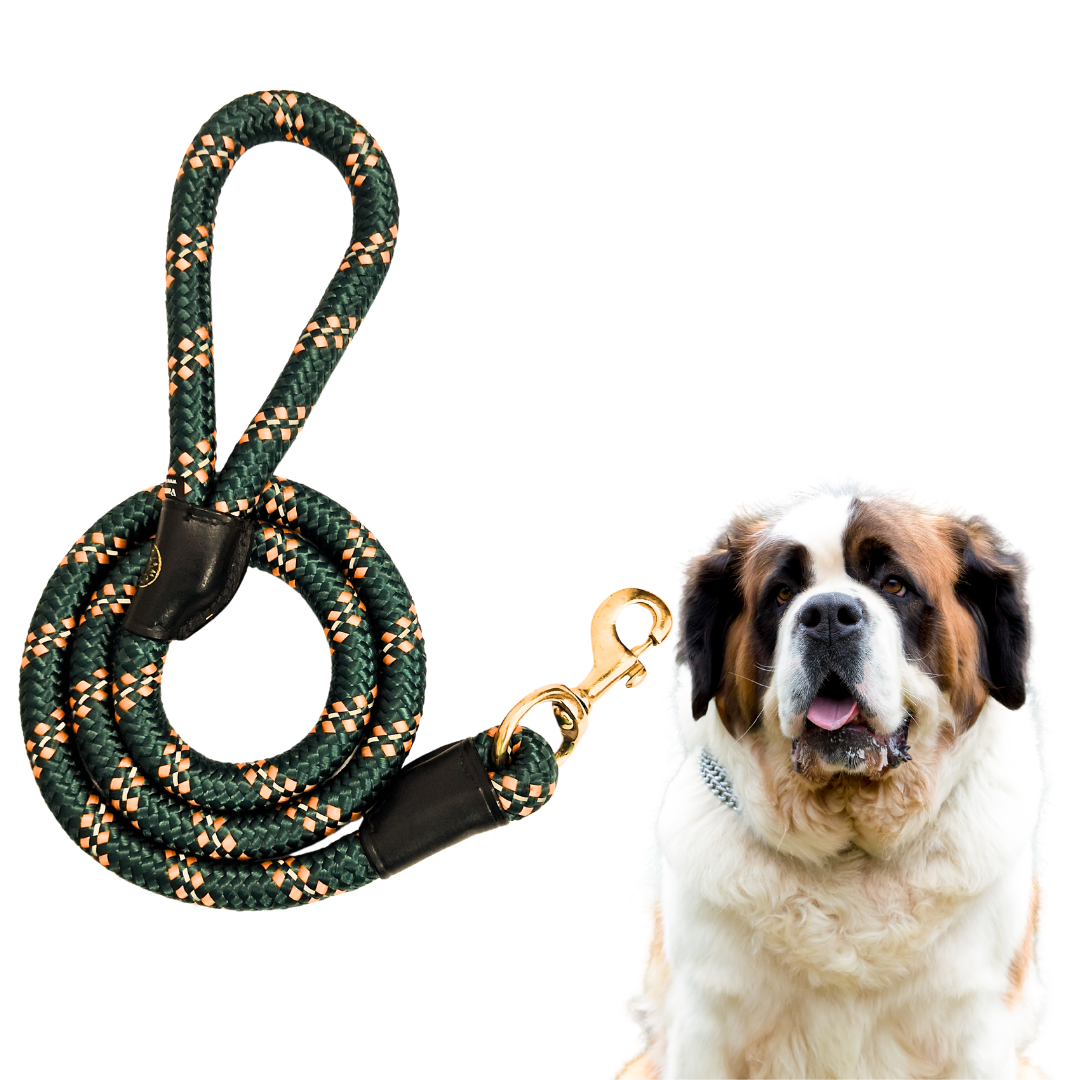 Vama Endure LEASH