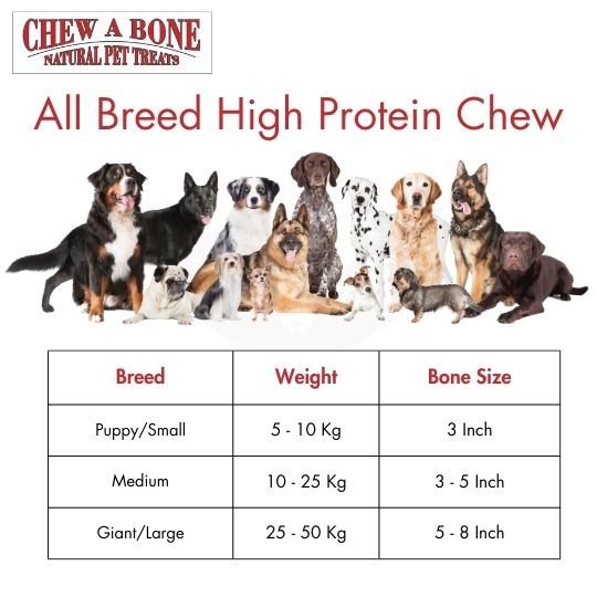 Vama HIGH PROTEIN BONE