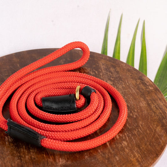 Vama BRITISH STYLE SLIP LEASH