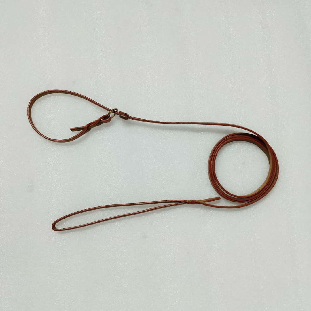 Vama Luxury Leather Slip Leash
