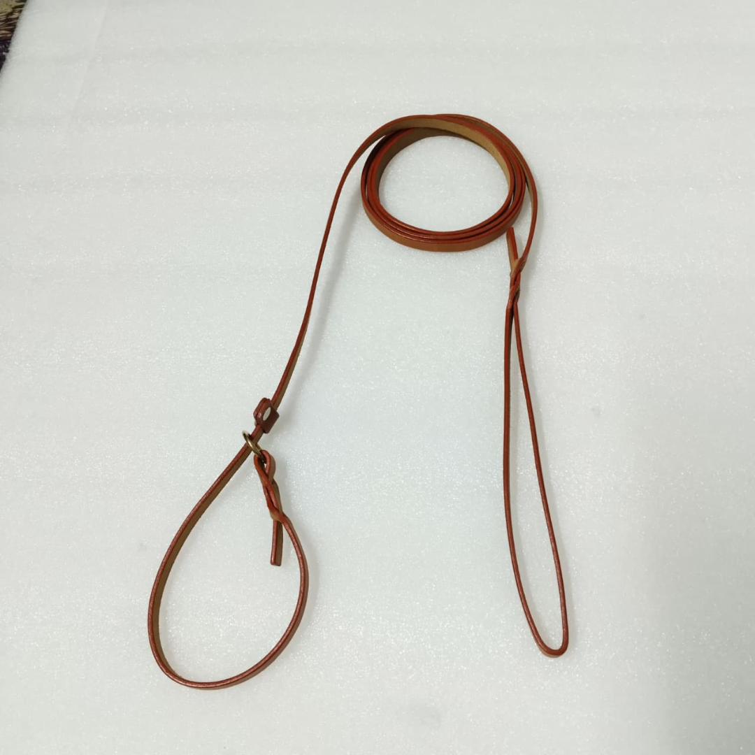 Vama Luxury Leather Slip Leash