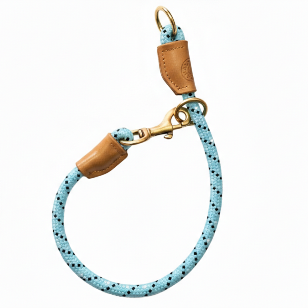 Vama DOMINANT DOG COLLAR