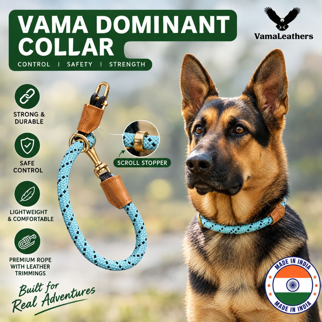 Vama DOMINANT DOG COLLAR