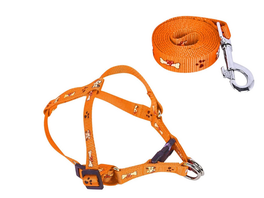 VAMA Puppy Control Harness & Leash Set